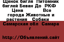 Щенок бигля. Питомник биглей Беван-До (РКФ) › Цена ­ 20 000 - Все города Животные и растения » Собаки   . Самарская обл.,Самара г.